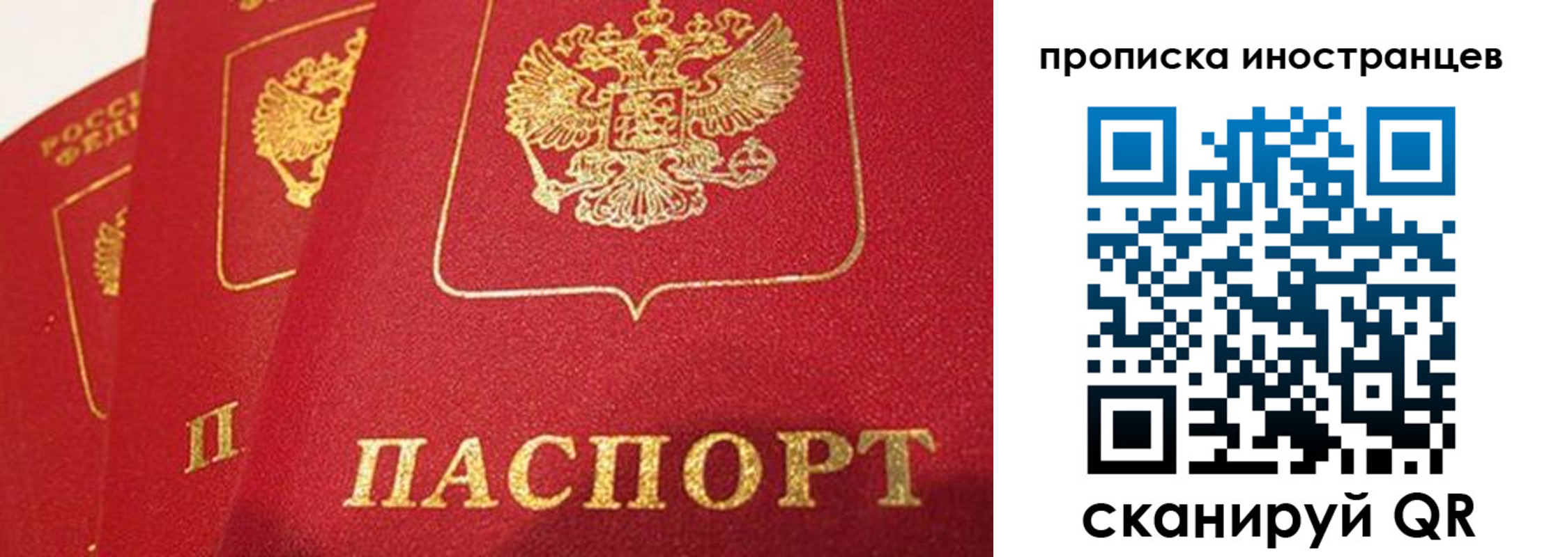 прописка поиск в Болотном